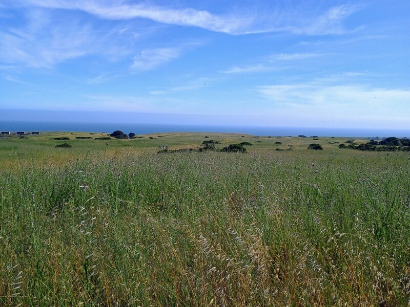 View form the top of cowboy loop.