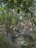 Creek crossing