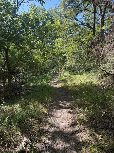 Trail taking you by the creek.