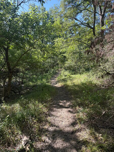 Trail taking you by the creek.