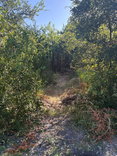 Entrance/exit to trail