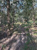 Nice singletrack trail