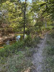 Singletrack running next to creek