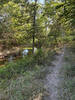 Singletrack running next to creek.
