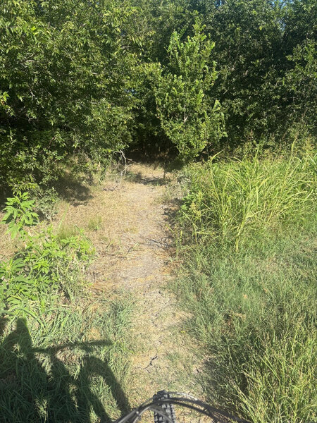Entrance/exit to trail