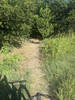Entrance/exit to trail