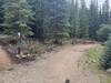 Two entrances of Bald Barber to start this climb up from Sallie Barber Road