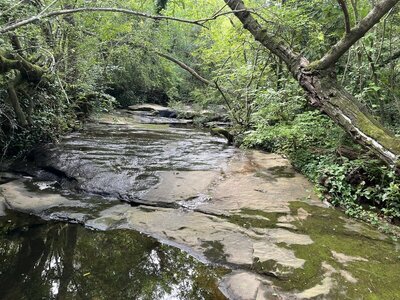 Ridable Creek