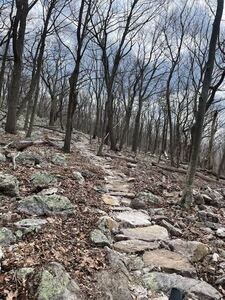 Amazing work by Appalachian Dirt on Rock Star... may be the longest rock garden in WV!