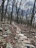 Amazing work by Appalachian Dirt on Rock Star... may be the longest rock garden in WV!