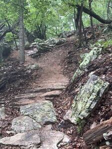 A nice A line on Thriller. Either do the S turn berms, gap separately, or gap the whole thing!