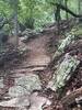 A nice A line on Thriller. Either do the S turn berms, gap separately, or gap the whole thing!