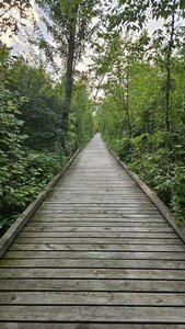 Boardwalk