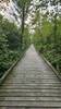 Boardwalk