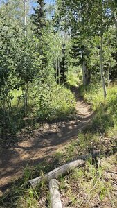 Sunset Singletrack