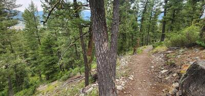 Top of Switchbacks
