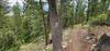 Top of Switchbacks
