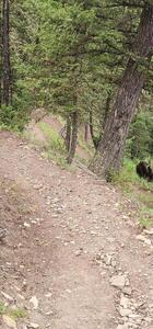 Looking down the Switchbacks.