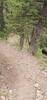 Looking down the Switchbacks.