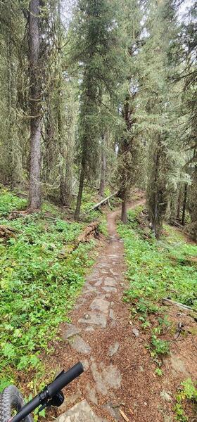 Heading back toward Ousel Falls.