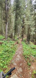 Heading back toward Ousel Falls.