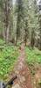 Heading back toward Ousel Falls.