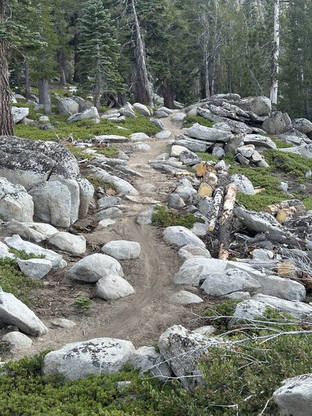 Rock section above the vista.