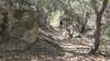 Nice shady bit on Lizard Trail