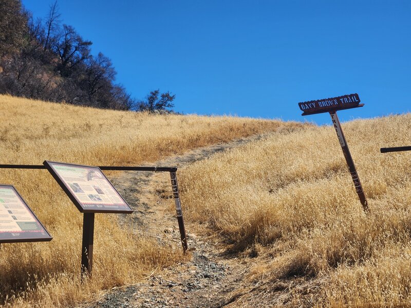 Davy Brown Trailhead
