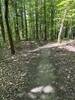 View from the top. Beginning of the bumps and berms.