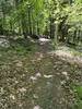 Smooth flow, the occasional little bridge.