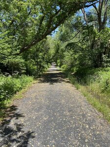 Flat and easy. Basically a road with no cars.
