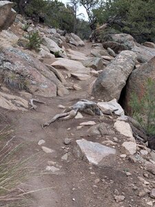 There are many expert features on this trail