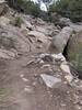 There are many expert features on this trail