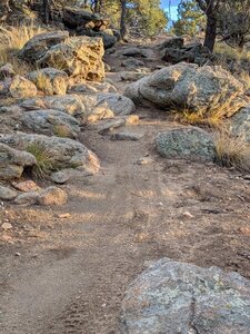 There are many expert features on this trail