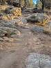 There are many expert features on this trail.