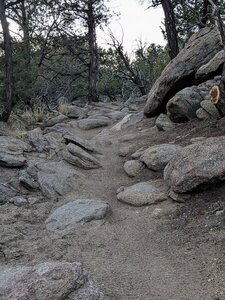 There are many expert features on this trail