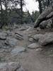 There are many expert features on this trail