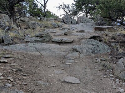There are many expert features on this trail