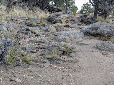 There are many expert features on this trail