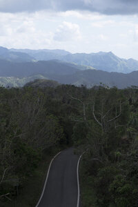 View from the Tower overlook in Maricao