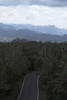 View from the Tower overlook in Maricao.