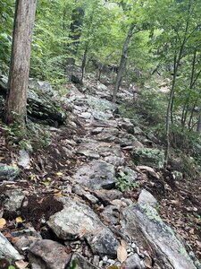 Steep and rocky on Vertigo.