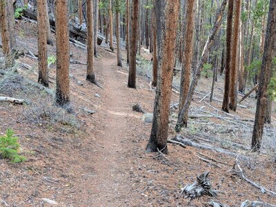 gentle singletrack