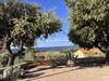 nice view from the chapell "Sv. Ilija"