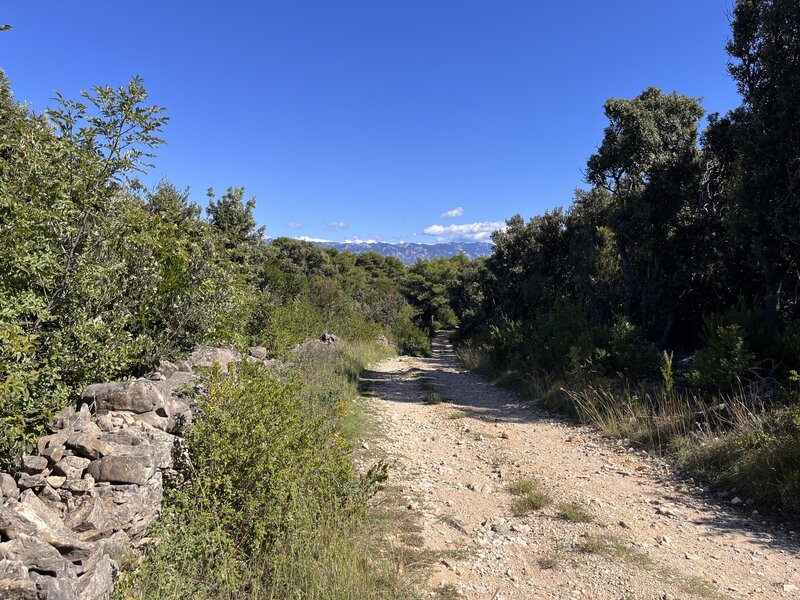 Doubletrack at the central ridge.