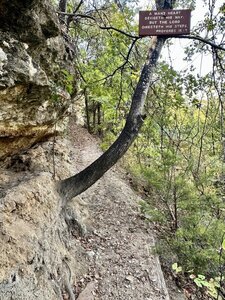 Choose your own adventure spot. Trials or limbo.