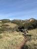 Climbing up the new trails to Fencline