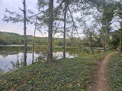 Ivy League Trail.