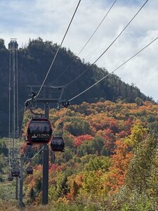 Gondola and fall colors.